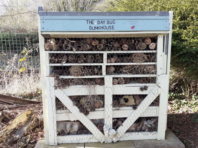 Bay bug bunkhouse